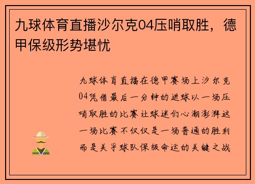 九球体育直播沙尔克04压哨取胜，德甲保级形势堪忧
