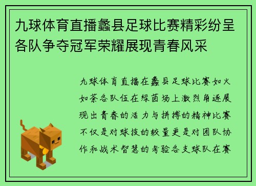 九球体育直播蠡县足球比赛精彩纷呈各队争夺冠军荣耀展现青春风采